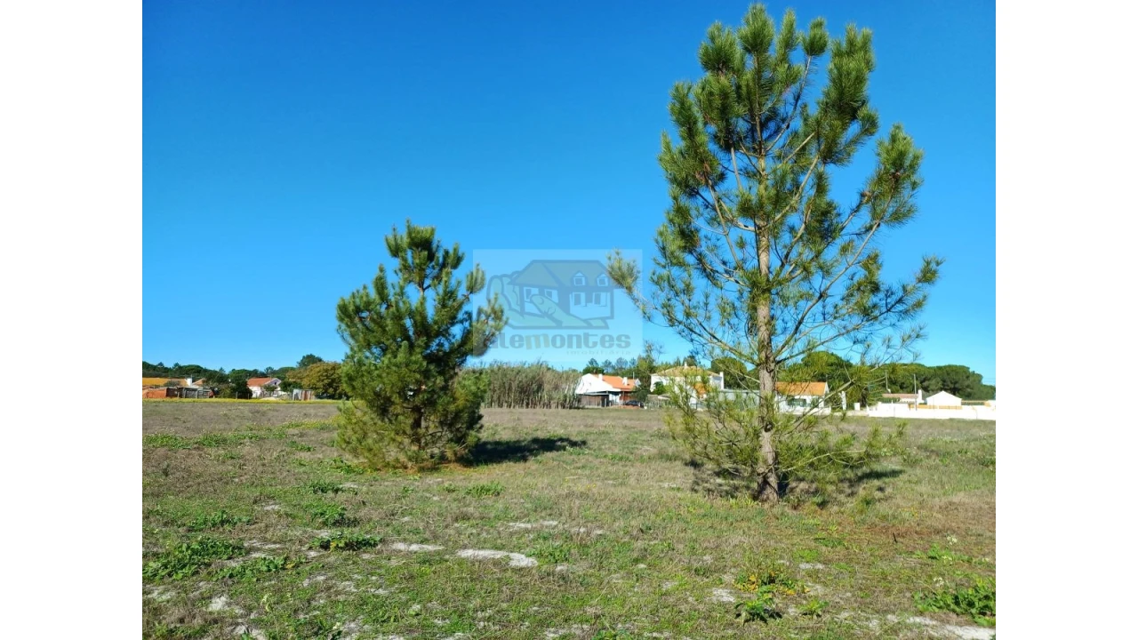 Terreno para Venda em Santa Maria do Castelo e Santiago e Santa Susana Foto 3