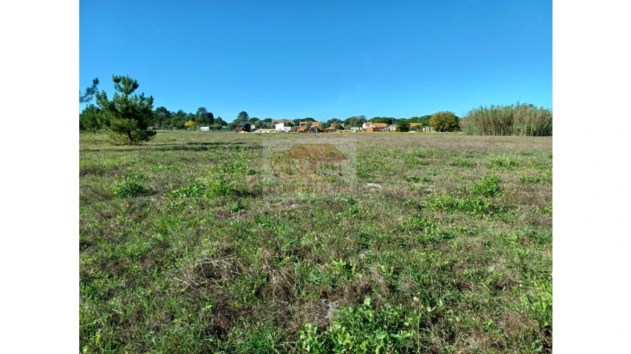 Terreno para Venda em Santa Maria do Castelo e Santiago e Santa Susana Foto 5