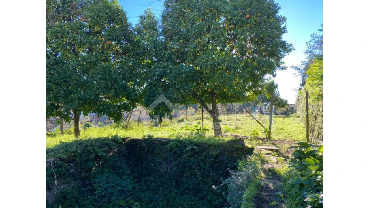 Moradia T2 para Venda em Figueiró dos Vinhos e Bairradas Foto 5
