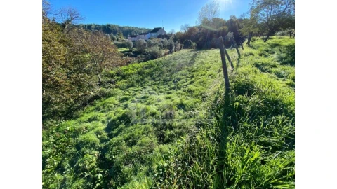 Moradia T2 para Venda em Figueiró dos Vinhos e Bairradas