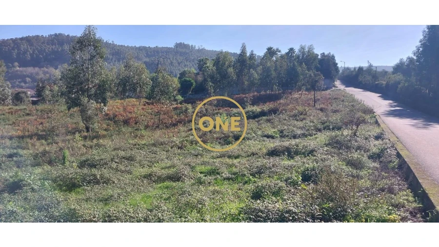 Terreno para Venda em Vale (São Cosme), Telhado e Portela Foto 4