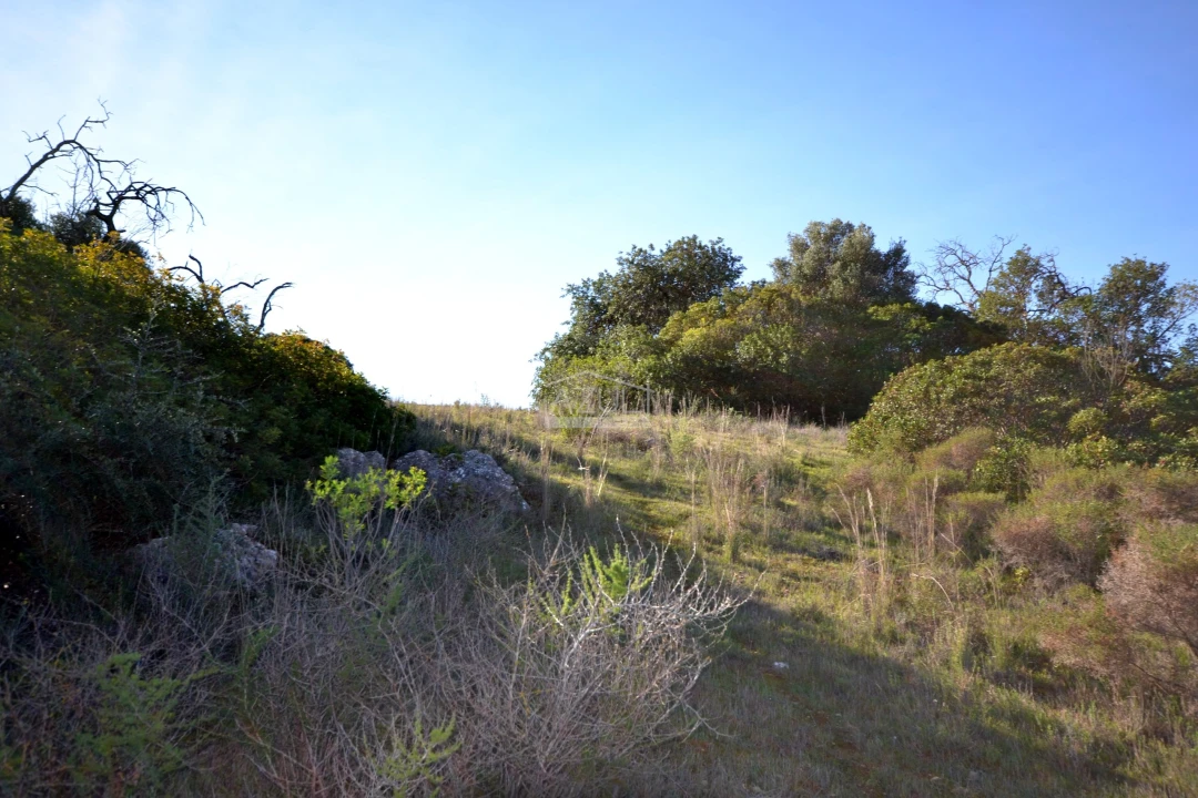 Terreno para Venda em Boliqueime Foto 10
