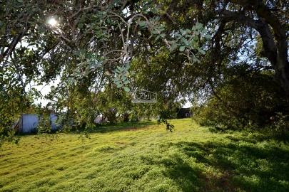 Terreno para Venda em Boliqueime