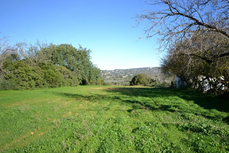 Terreno para Venda em Boliqueime Foto 3