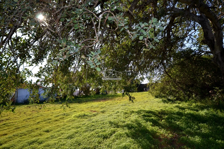 Terreno para Venda em Boliqueime Foto 11