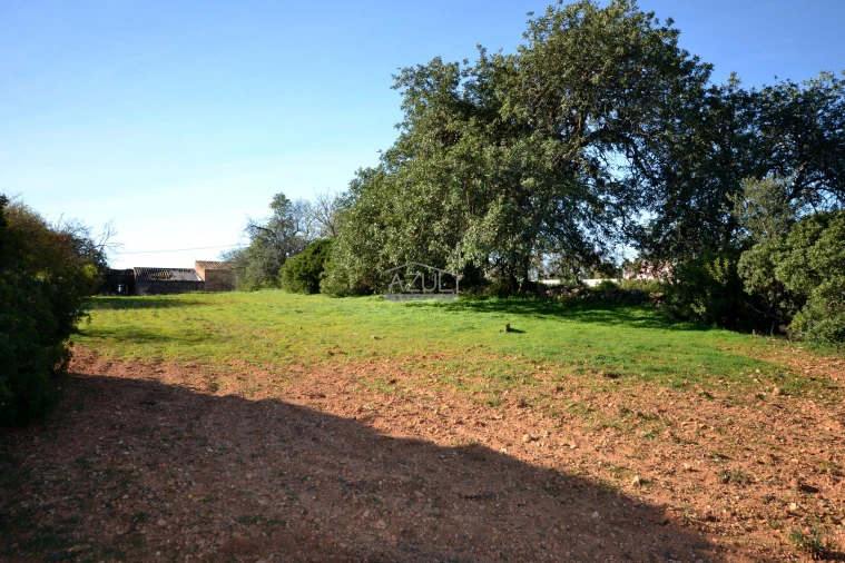 Terreno para Venda em Boliqueime Foto 2