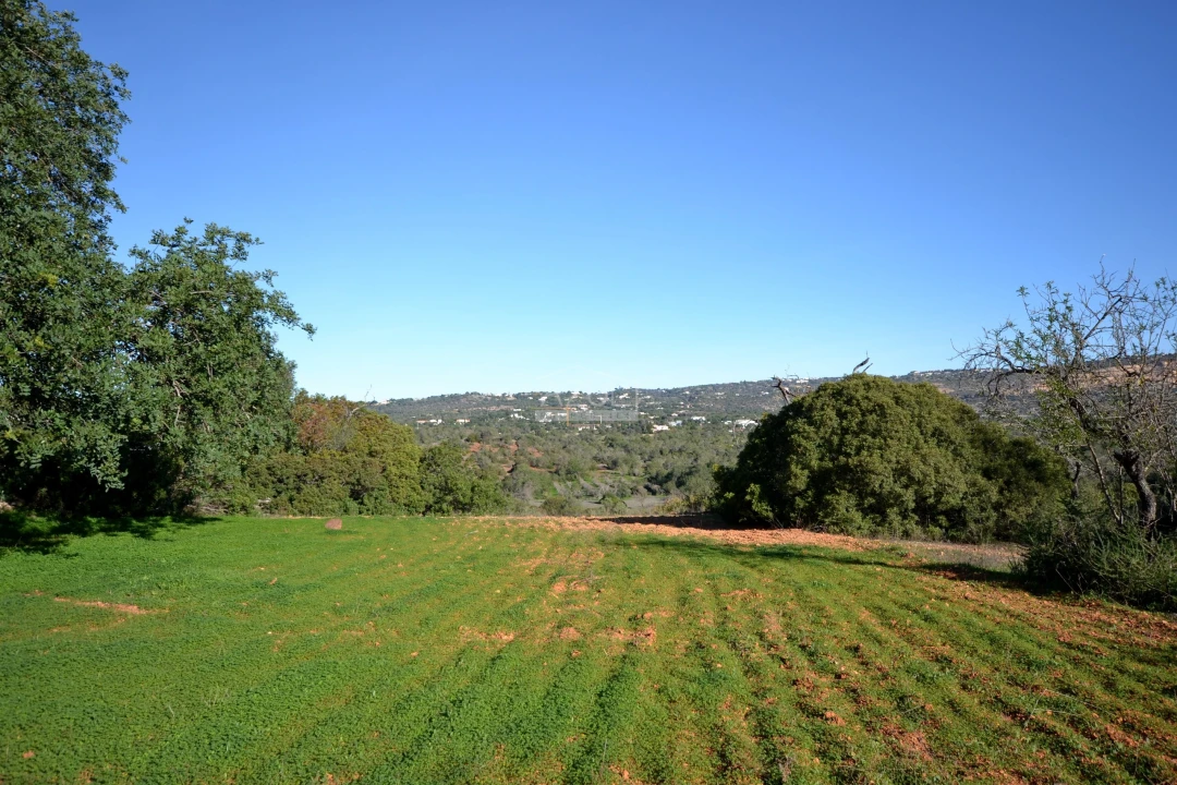 Terreno para Venda em Boliqueime Foto 1