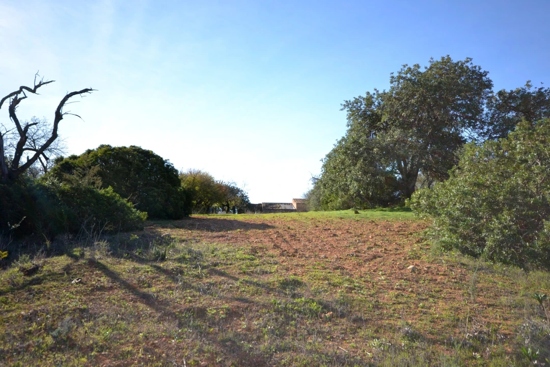 Terreno para Venda em Boliqueime Foto 6
