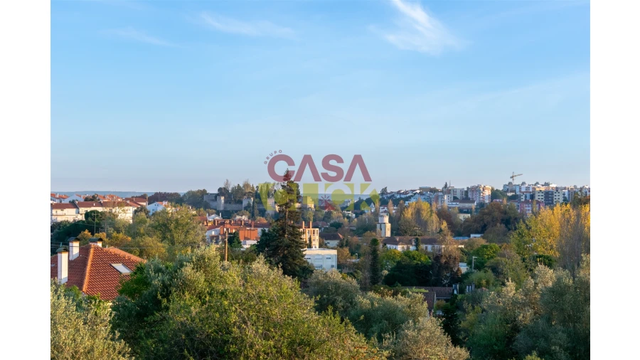 Terreno para Venda em Torres Novas (São Pedro), Lapas e Ribeira Branca Foto 15