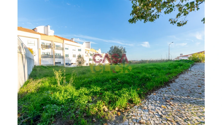 Terreno para Venda em Torres Novas (São Pedro), Lapas e Ribeira Branca Foto 3