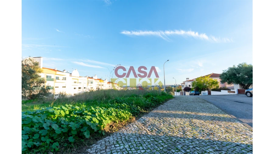 Terreno para Venda em Torres Novas (São Pedro), Lapas e Ribeira Branca Foto 5