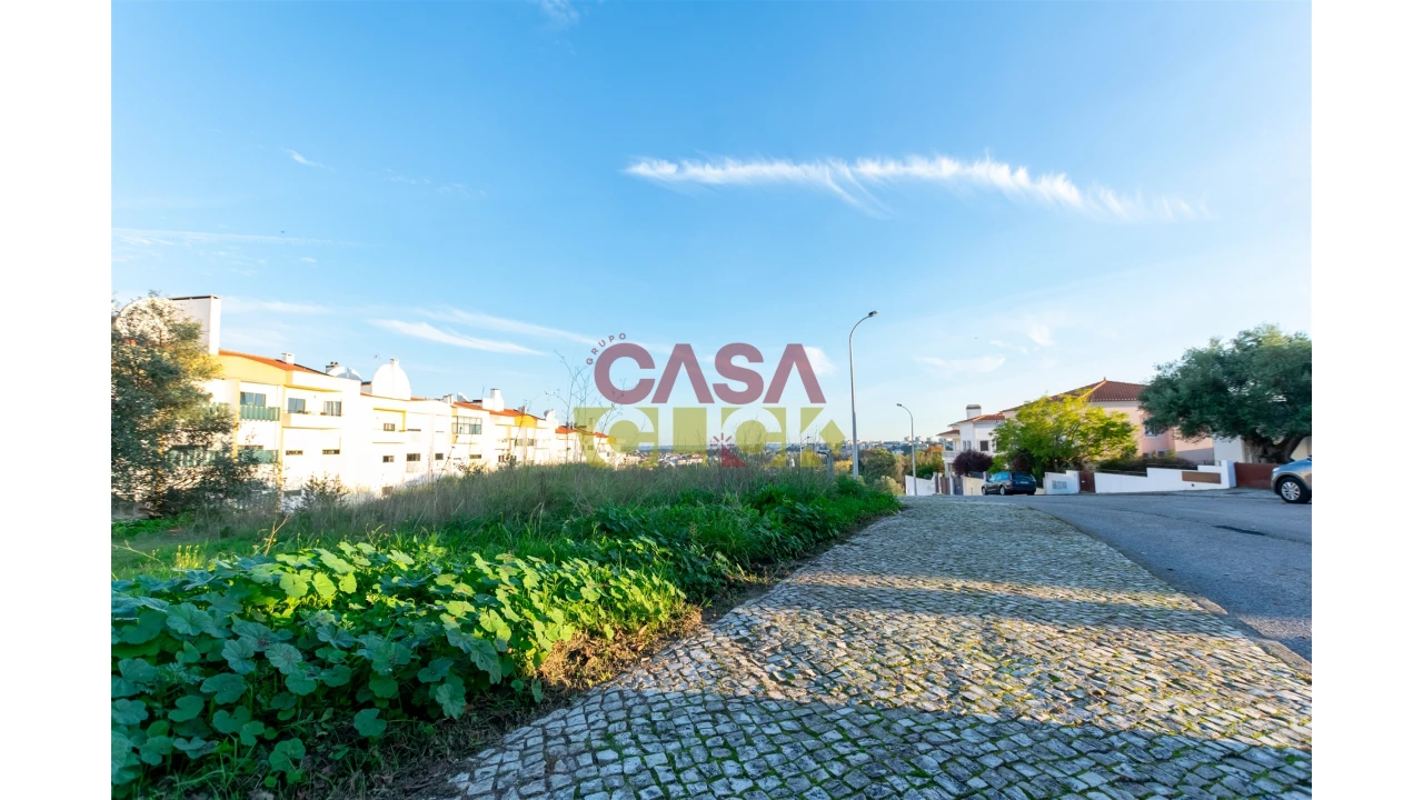 Terreno para Venda em Torres Novas (São Pedro), Lapas e Ribeira Branca Foto 13