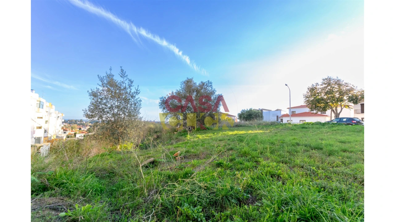 Terreno para Venda em Torres Novas (São Pedro), Lapas e Ribeira Branca Foto 12