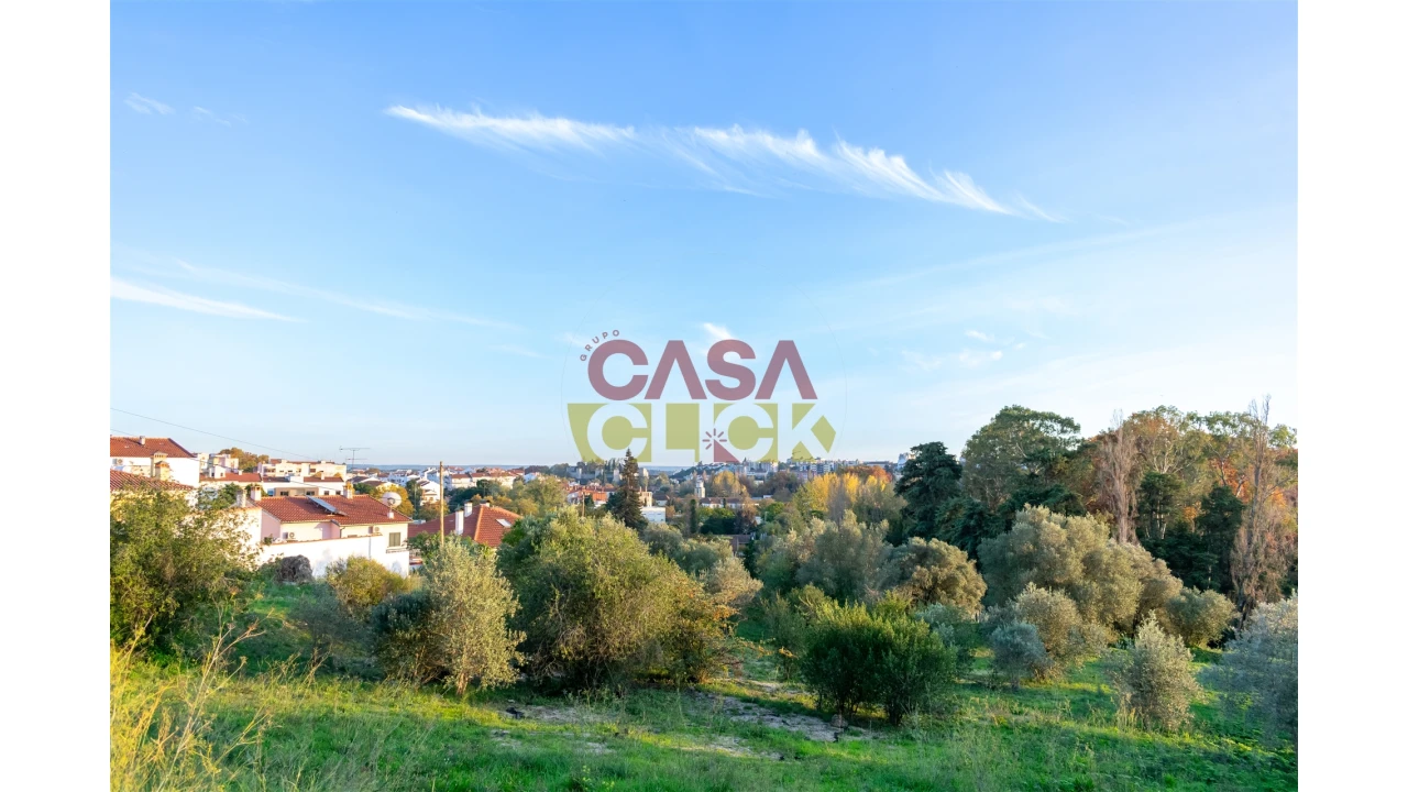 Terreno para Venda em Torres Novas (São Pedro), Lapas e Ribeira Branca Foto 7