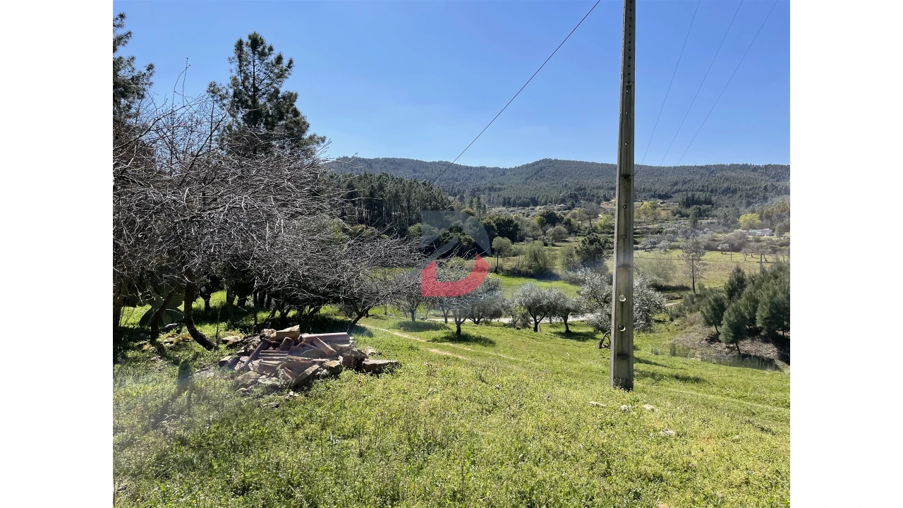 Terreno Agricola ou Rústico para Venda em Vale de Prazeres e Mata da Rainha Foto 2
