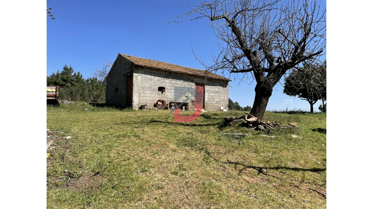 Terreno Agricola ou Rústico para Venda em Vale de Prazeres e Mata da Rainha Foto 1