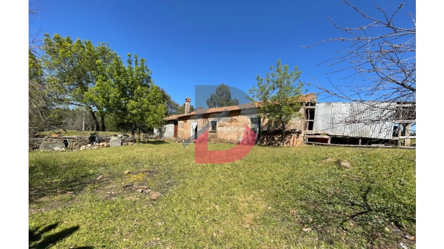 Terreno Agricola ou Rústico para Venda em Vale de Prazeres e Mata da Rainha Foto 4