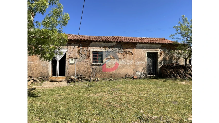 Terreno Agricola ou Rústico para Venda em Vale de Prazeres e Mata da Rainha Foto 3