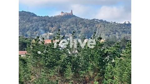 Moradia T4 para Venda em Santa Maria e São Miguel, São Martinho, São Pedro Penaferrim