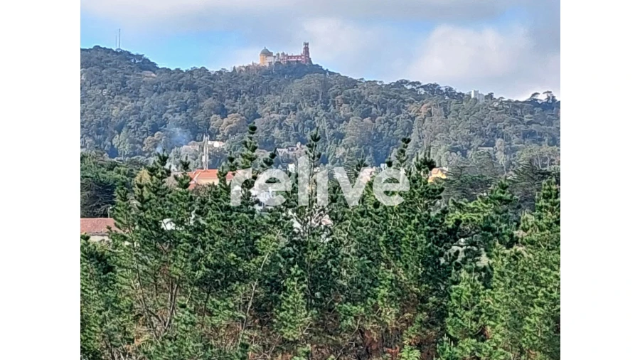 Moradia T4 para Venda em Santa Maria e São Miguel, São Martinho, São Pedro Penaferrim Foto 18
