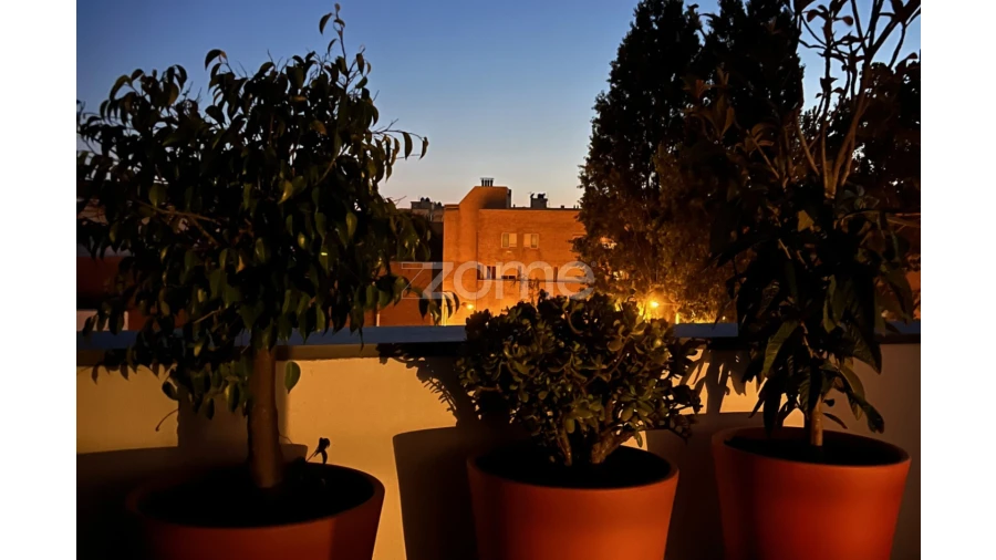 Apartamento T4 para Venda em Aldoar, Foz do Douro e Nevogilde Foto 18