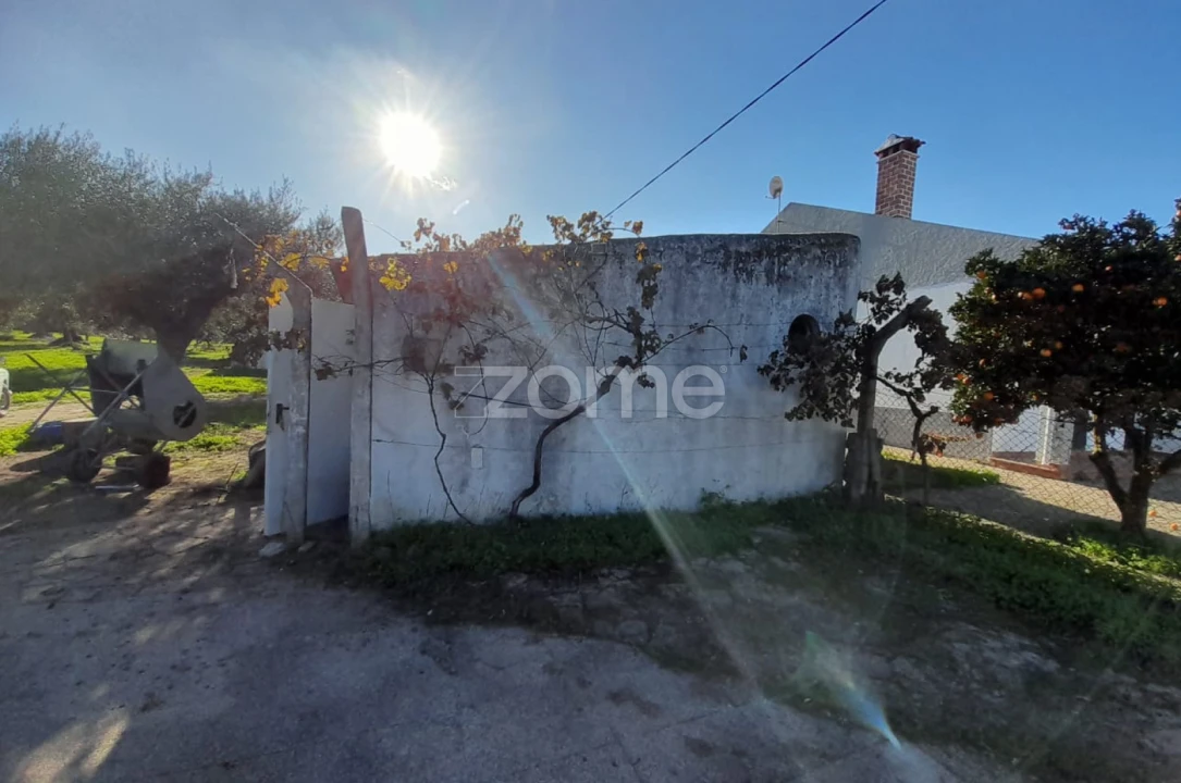 Terreno para Venda em Zebreira e Segura Foto 11