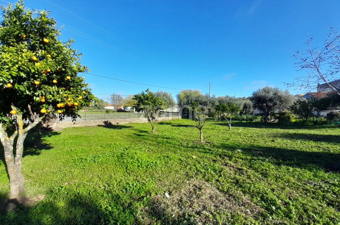 Terreno para Venda em Zebreira e Segura Foto 2