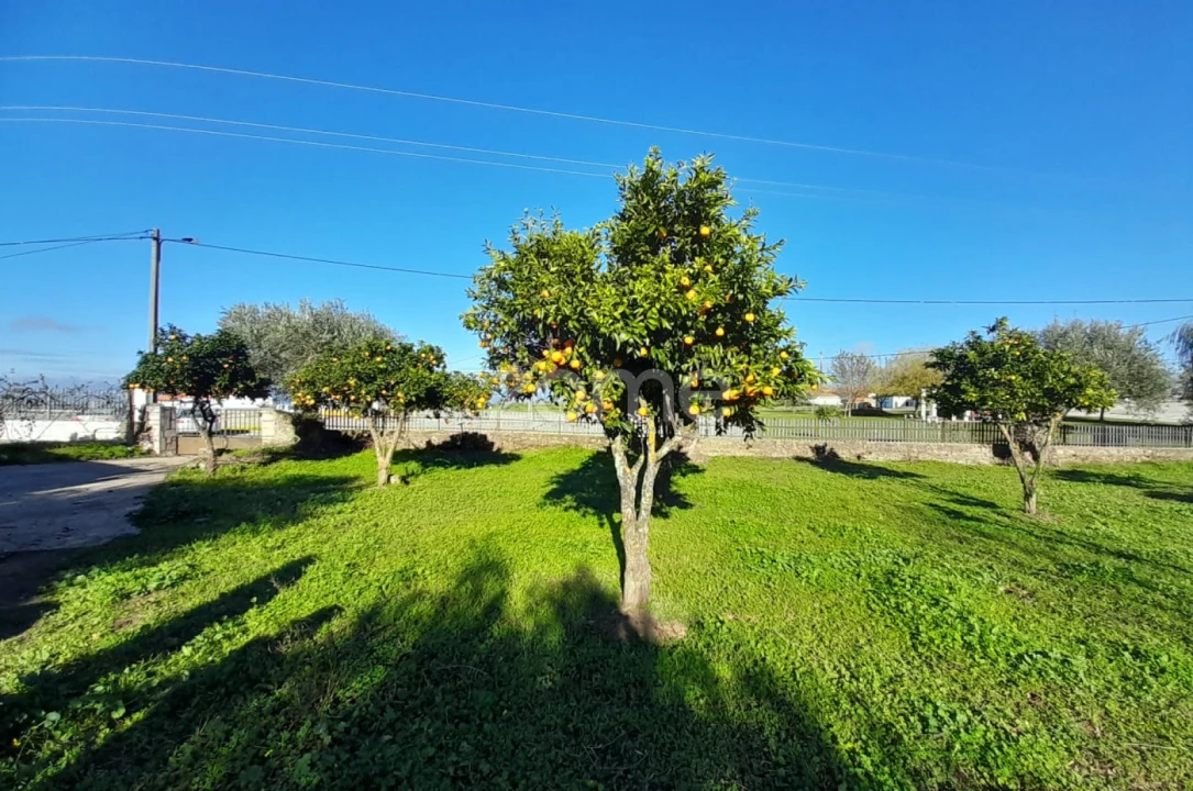Terreno para Venda em Zebreira e Segura Foto 4