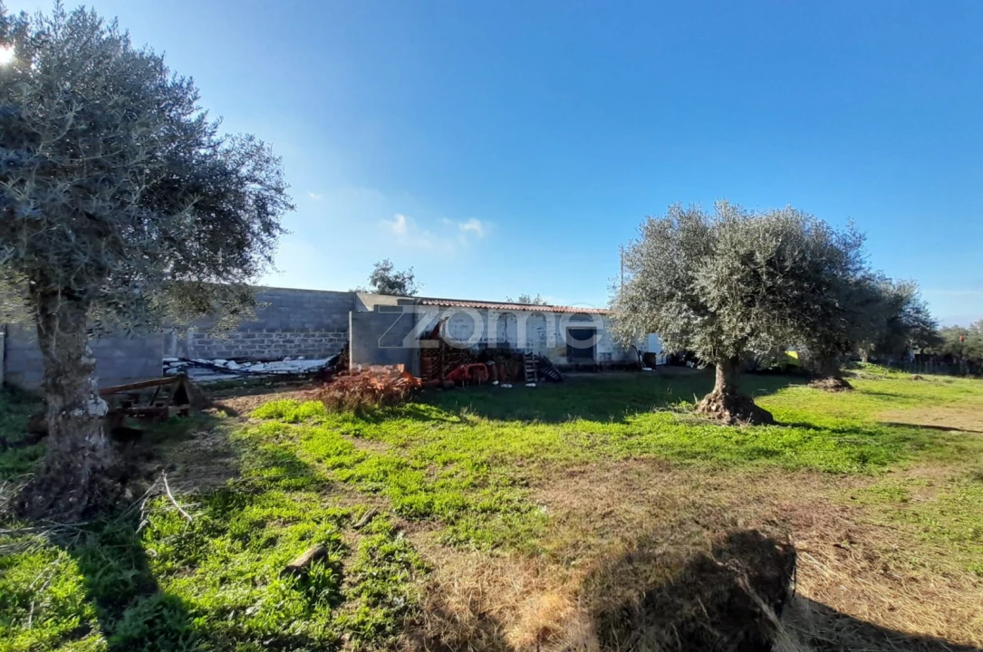 Terreno para Venda em Zebreira e Segura Foto 10