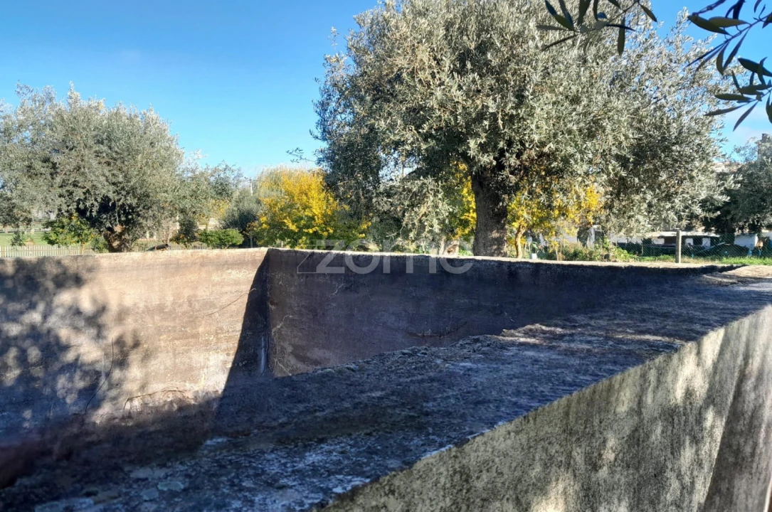 Terreno para Venda em Zebreira e Segura Foto 12