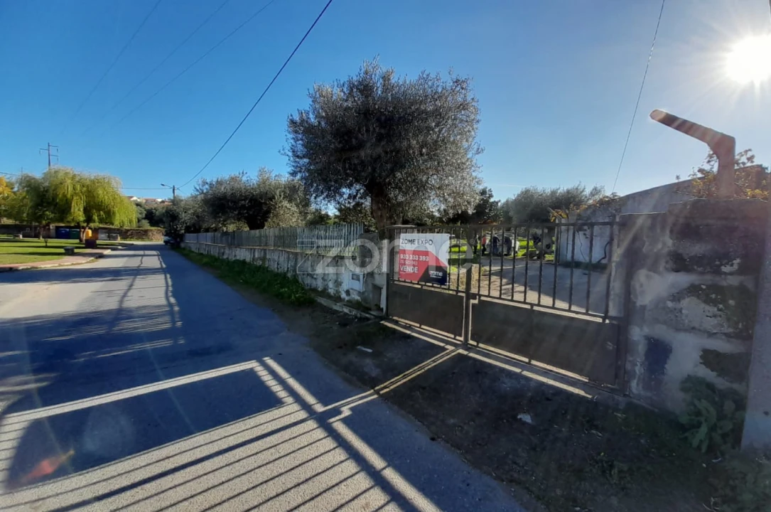 Terreno para Venda em Zebreira e Segura Foto 3