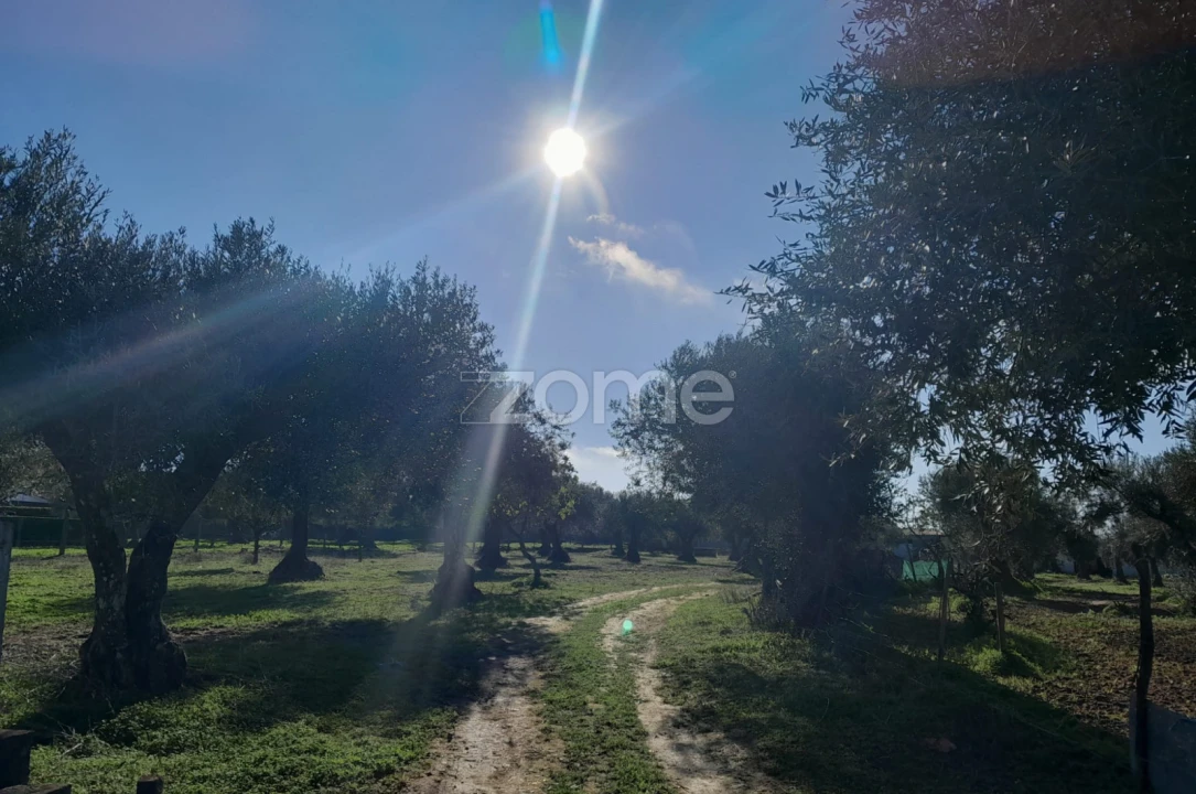 Terreno para Venda em Zebreira e Segura Foto 1