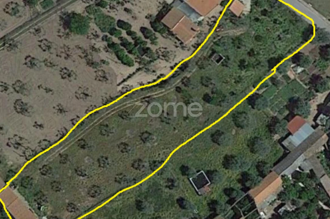 Terreno para Venda em Zebreira e Segura Foto 18