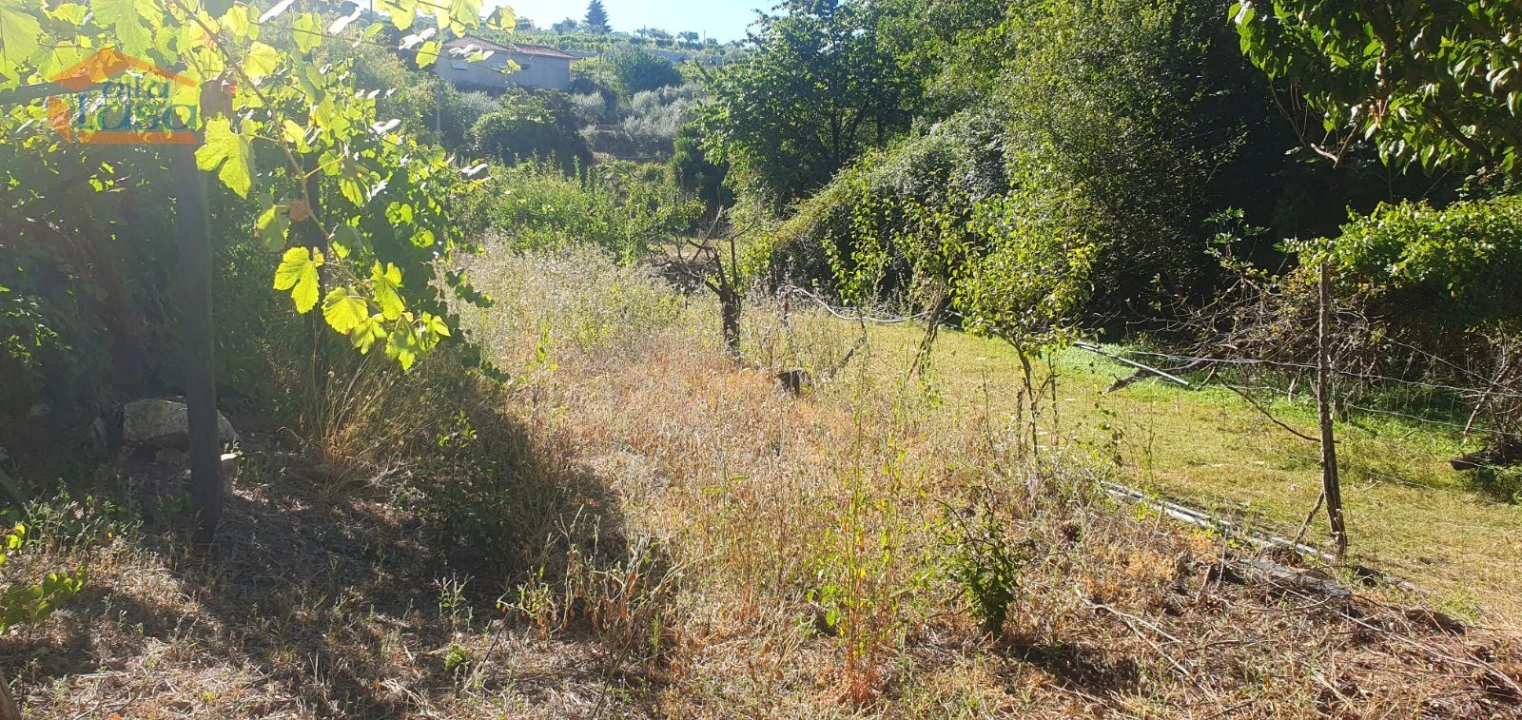 Moradia T3 para Venda em Lamego (Almacave e Sé) Foto 14