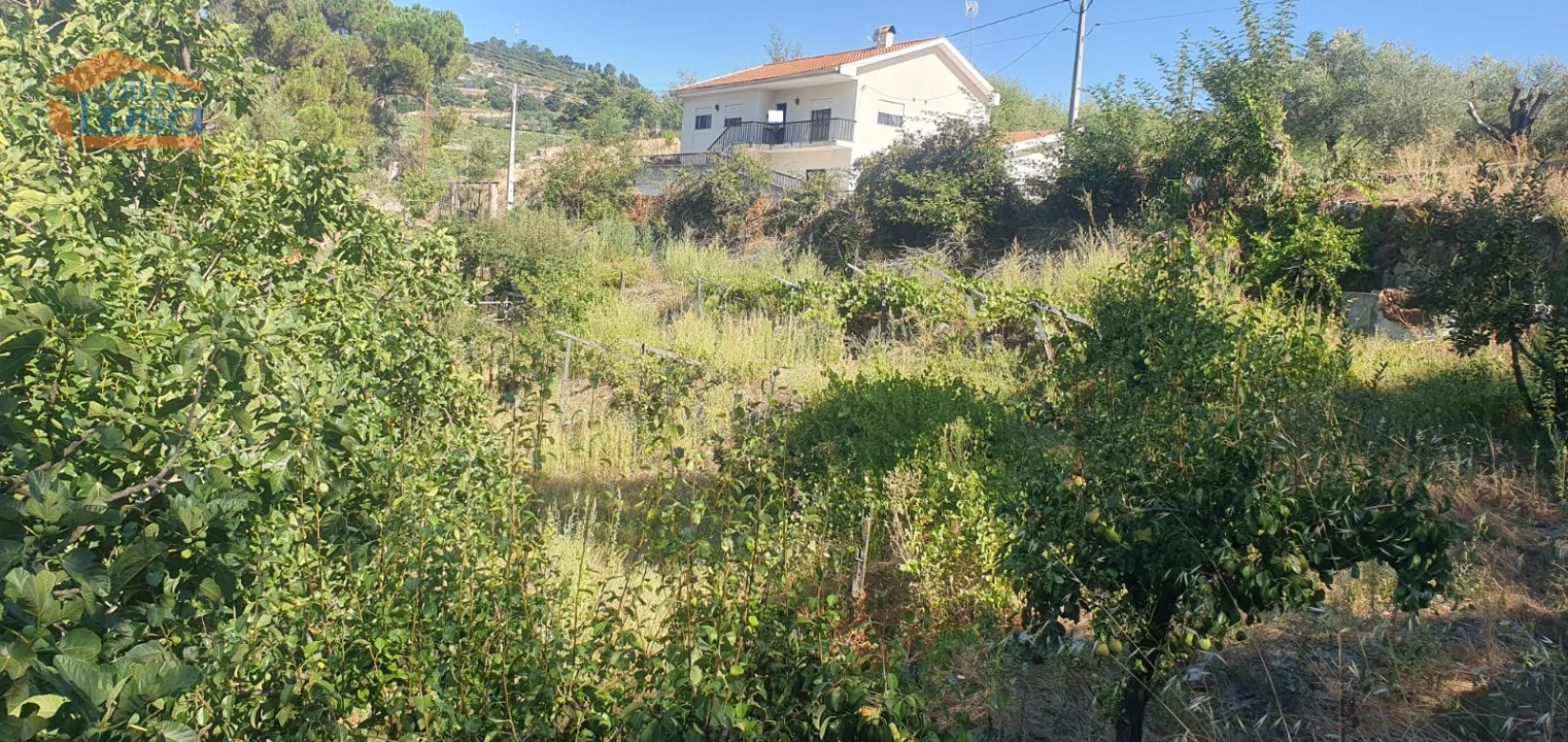 Moradia T3 para Venda em Lamego (Almacave e Sé) Foto 18