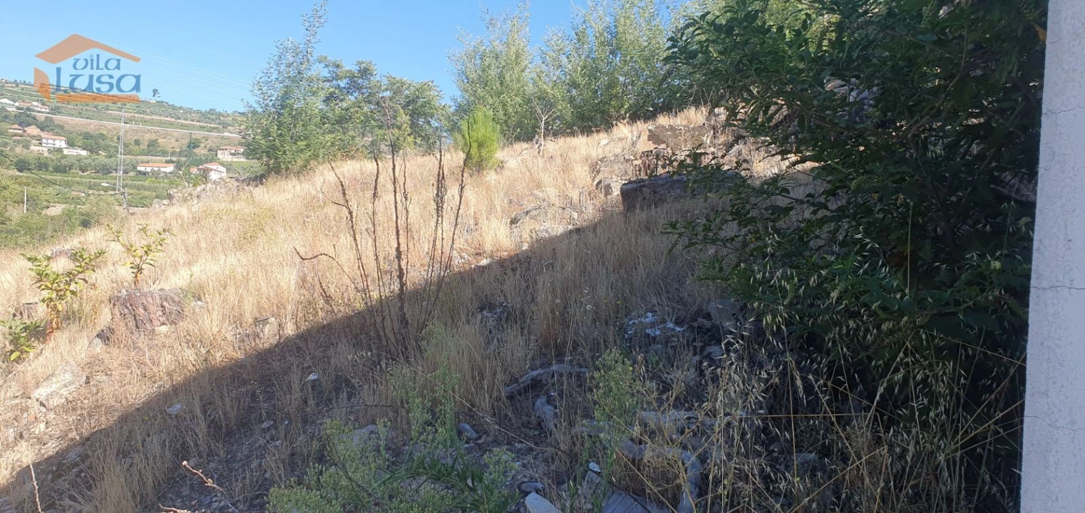 Moradia T3 para Venda em Lamego (Almacave e Sé) Foto 21