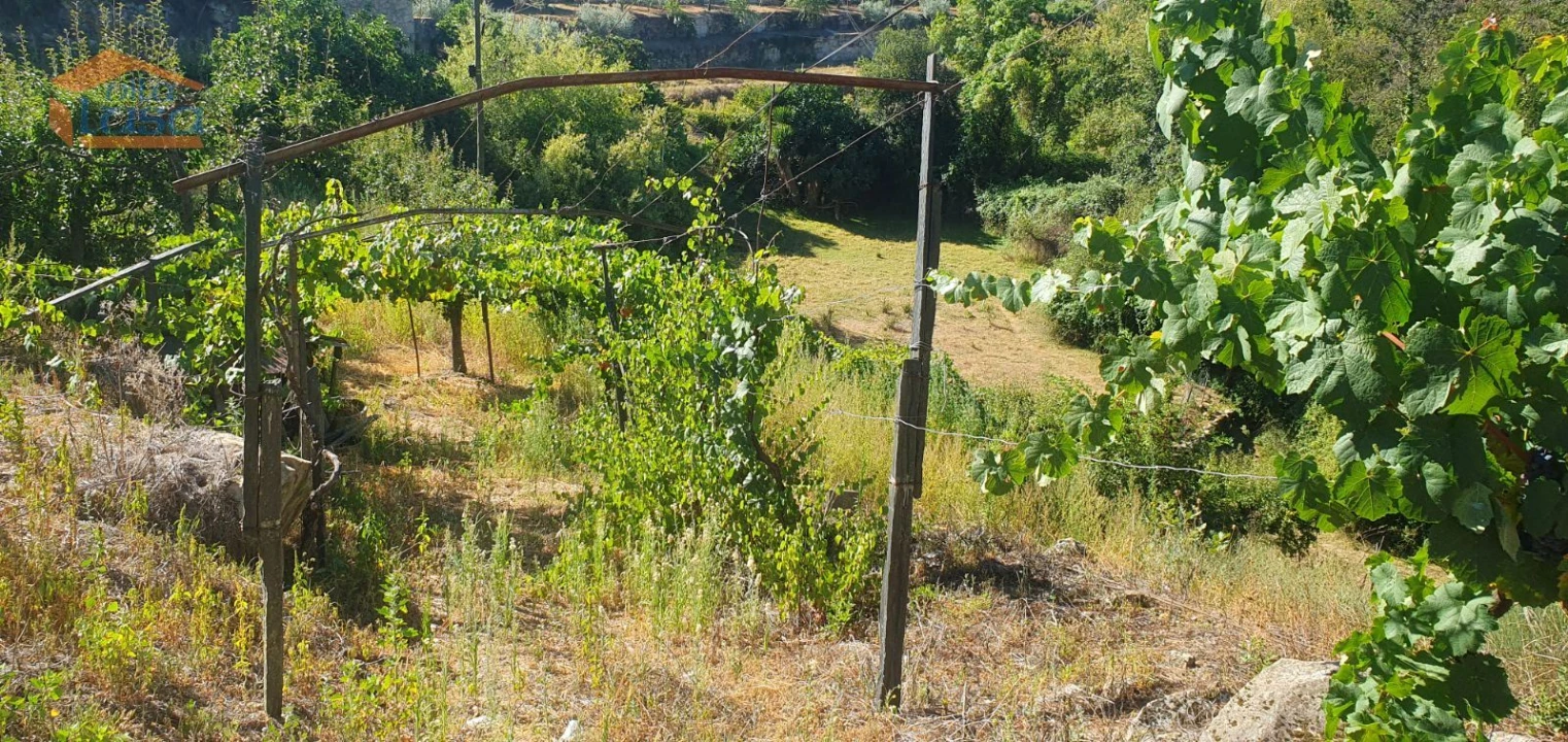 Moradia T3 para Venda em Lamego (Almacave e Sé) Foto 23