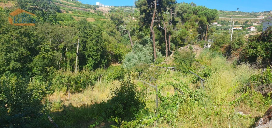 Moradia T3 para Venda em Lamego (Almacave e Sé) Foto 16