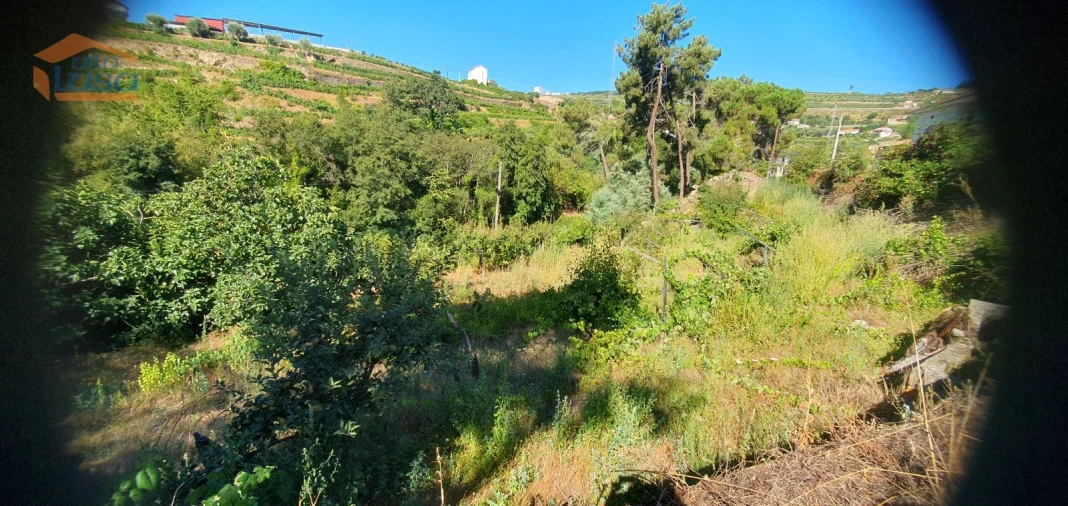 Moradia T3 para Venda em Lamego (Almacave e Sé) Foto 17