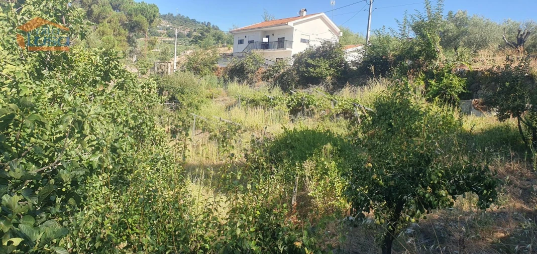 Moradia T3 para Venda em Lamego (Almacave e Sé) Foto 18