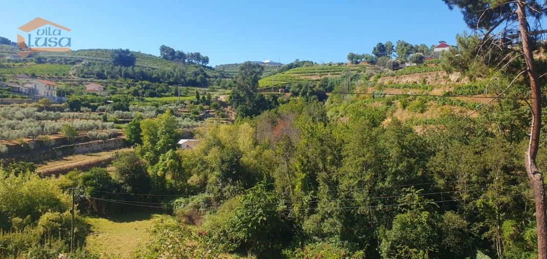 Moradia T3 para Venda em Lamego (Almacave e Sé) Foto 19