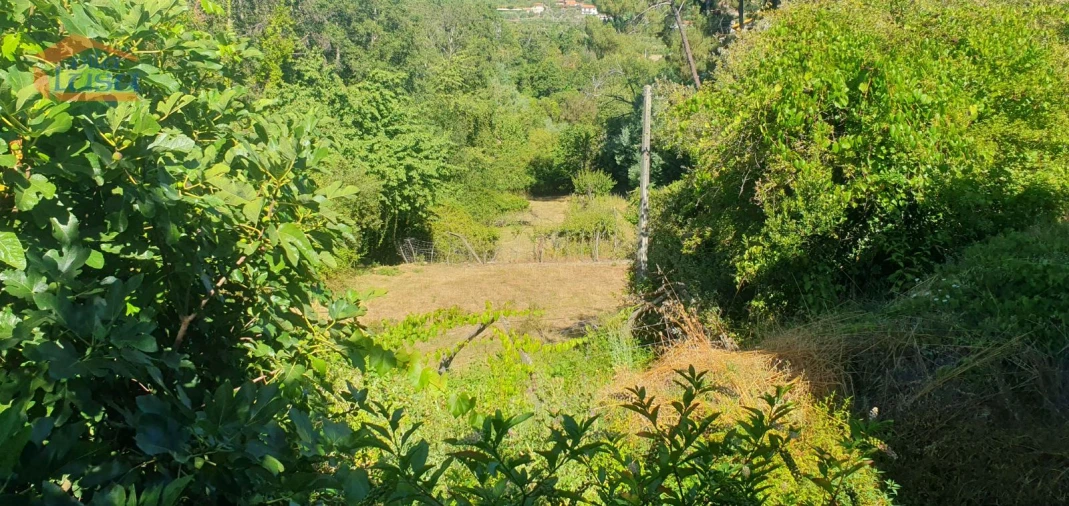 Moradia T3 para Venda em Lamego (Almacave e Sé) Foto 22