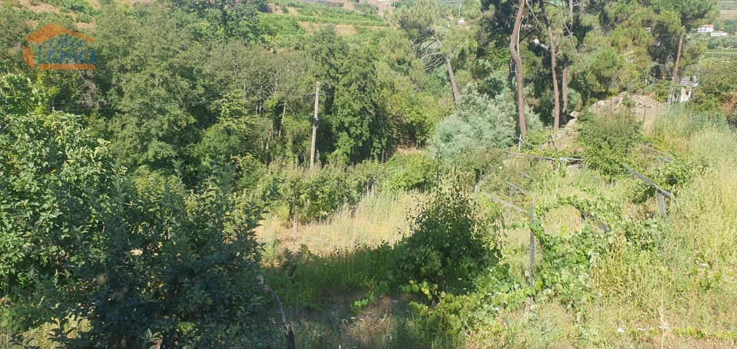 Moradia T3 para Venda em Lamego (Almacave e Sé) Foto 24