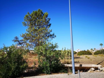 Terreno para Venda em Albufeira e Olhos de Água
