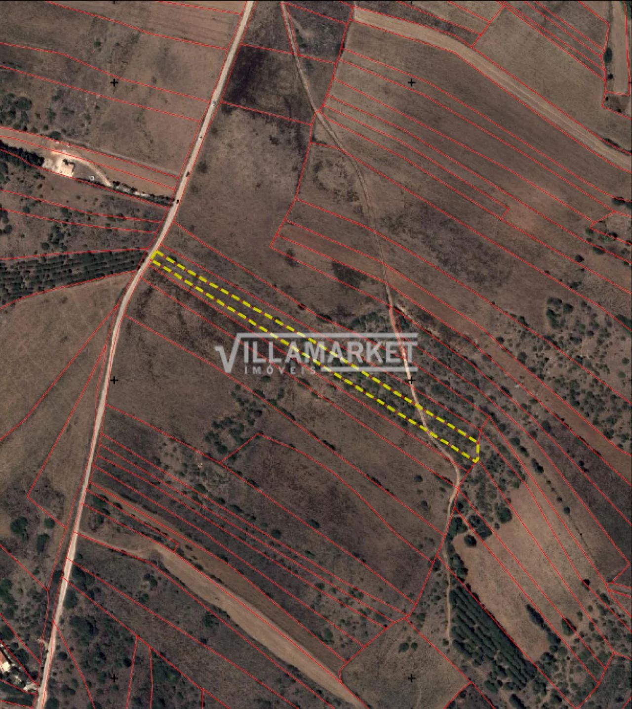 Terreno para Venda em Vila do Bispo e Raposeira Foto 4