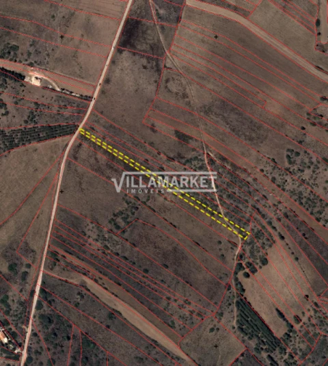 Terreno para Venda em Vila do Bispo e Raposeira