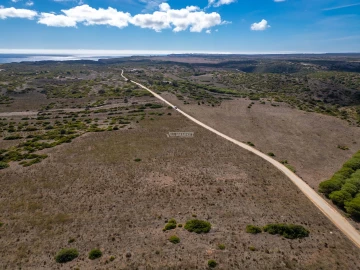 Terreno para Venda em Vila do Bispo e Raposeira