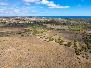 Terreno para Venda em Vila do Bispo e Raposeira