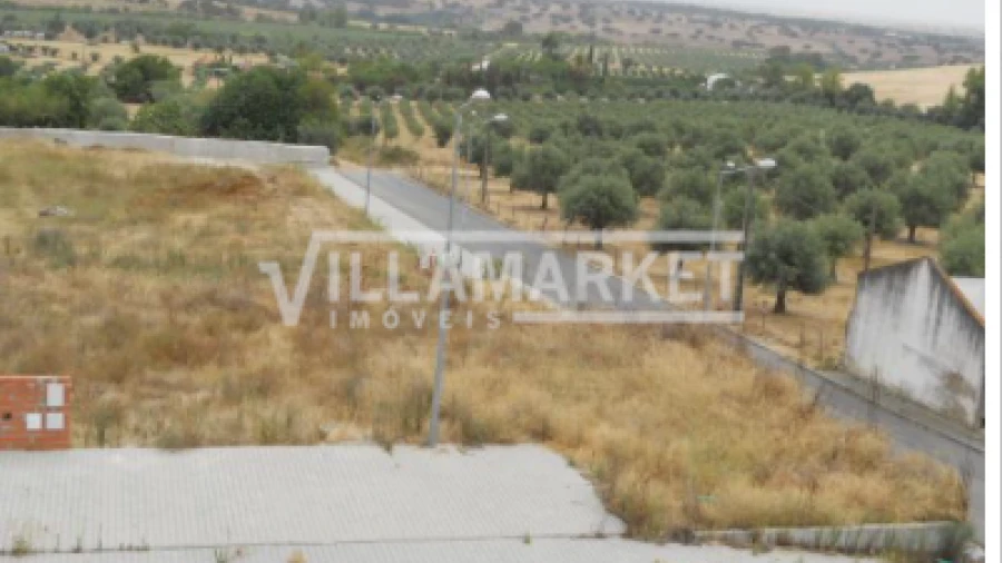 Terreno para Venda em Alvito