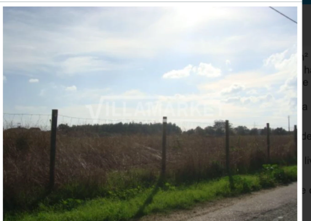 Terreno para Venda em Montijo e Afonsoeiro Foto 6